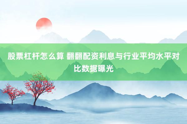 股票杠杆怎么算 翻翻配资利息与行业平均水平对比数据曝光